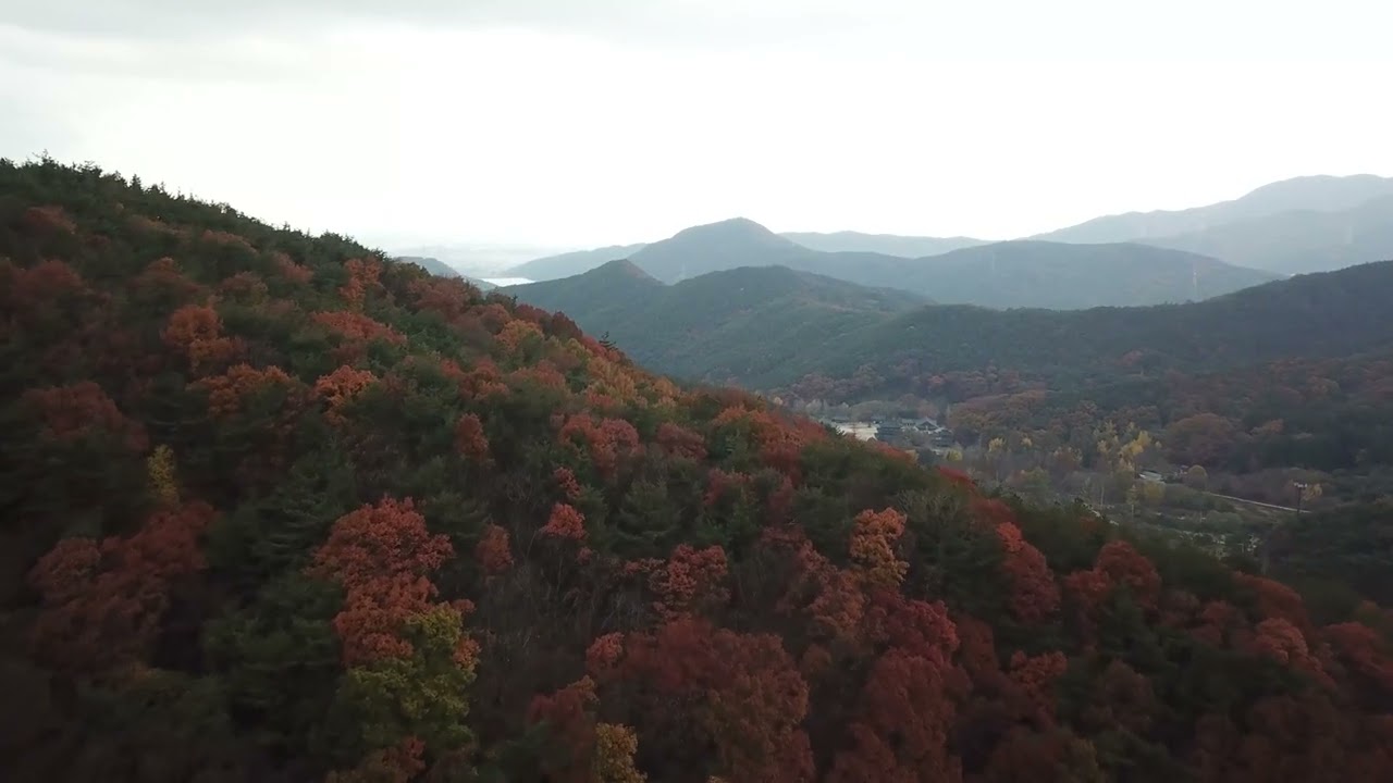 내장산의 아름다움을 감상하세요.. 힐링되는 드론 영상 풍경