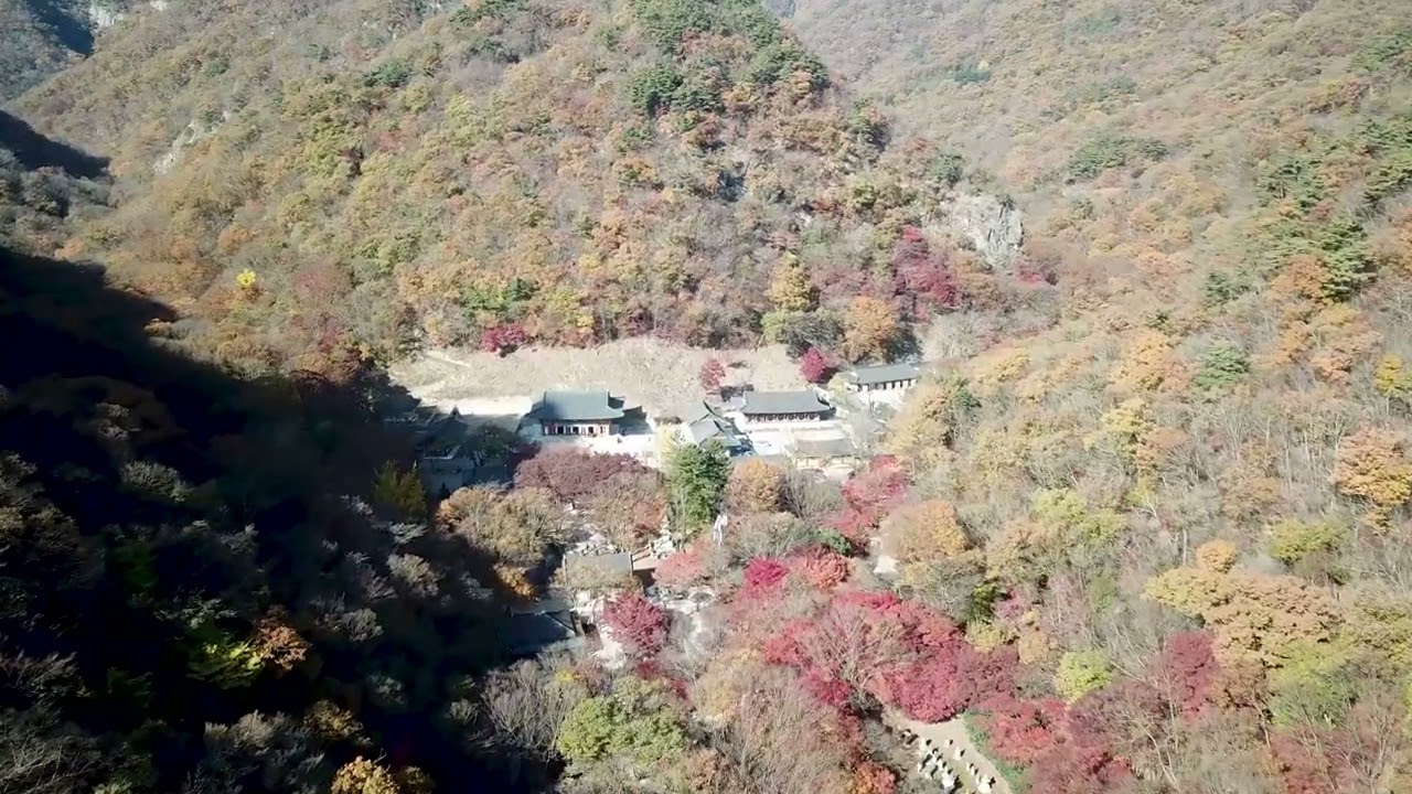 정읍 내장산 단풍의 오색찬란한 색의 향연을 만끽하자