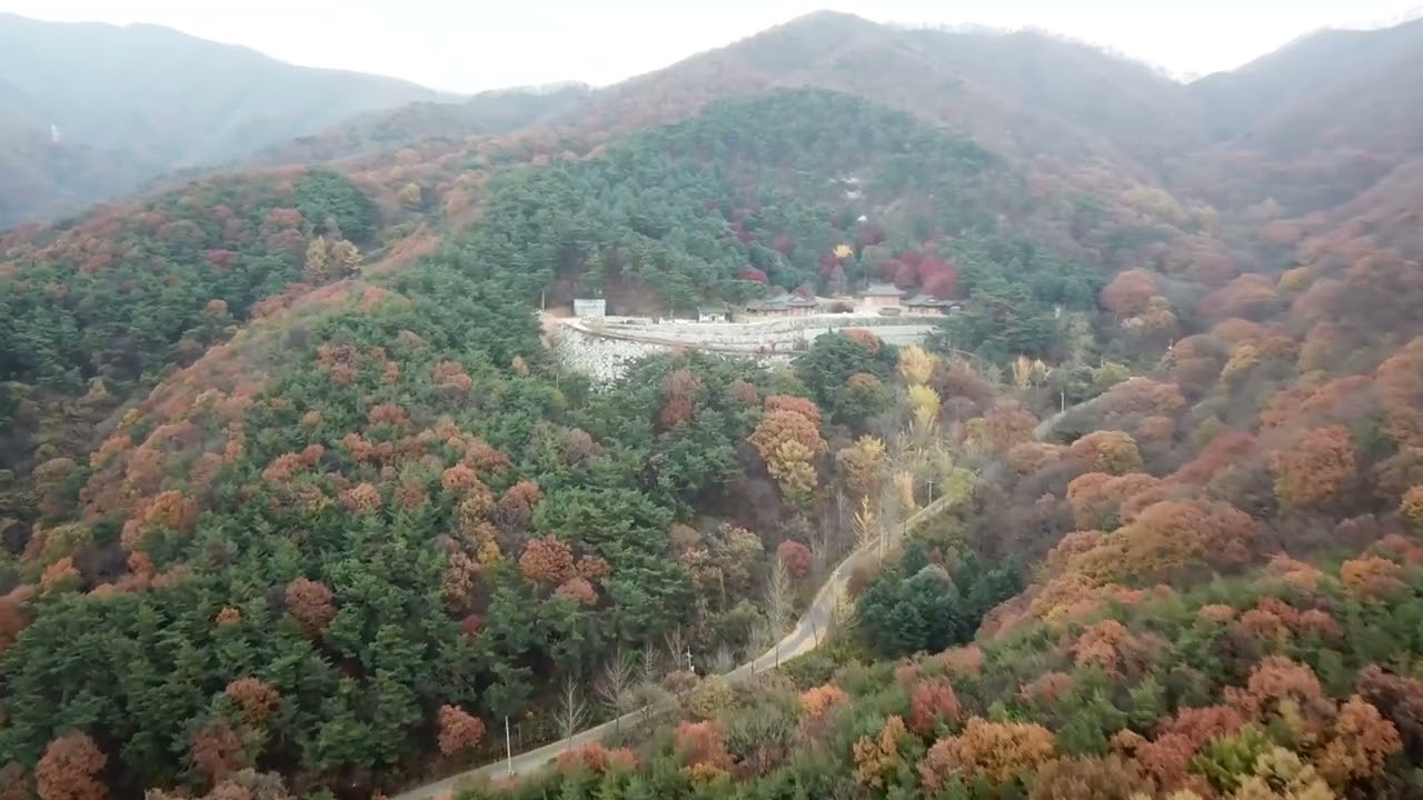 내장산 단풍 드론영상