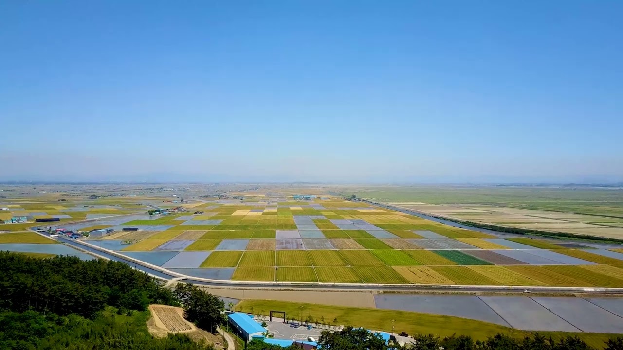 김제 지평선을 본다