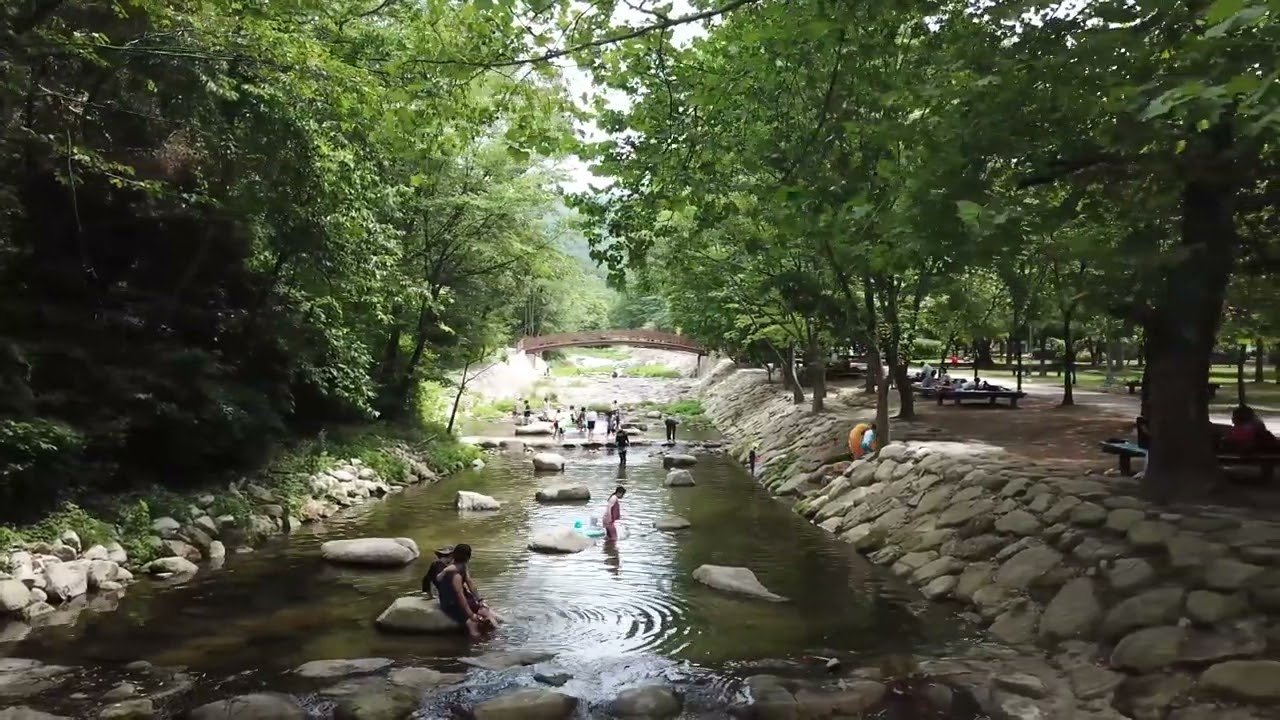 시원한 여름 계곡물에서 피서를 즐기다