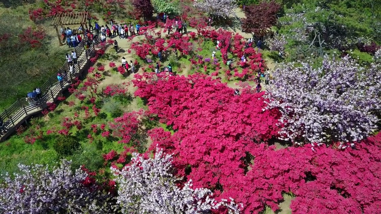 전주 꽃동산 풍경입니다. 완산동에 위치하고 있으며 5월이 되면 울긋불긋 다양한 꽃들의 동산이 펼쳐집니다.