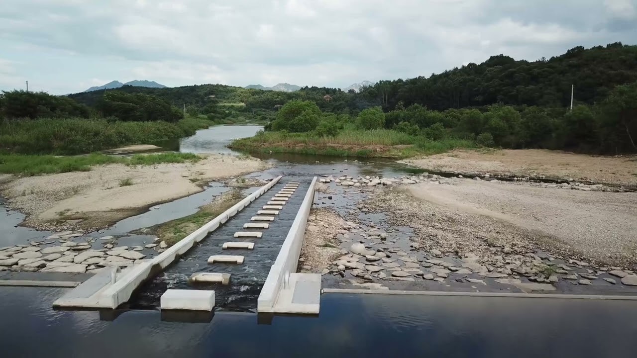 전주 생태천을 드론으로 가다. 물고기들아 사랑해
