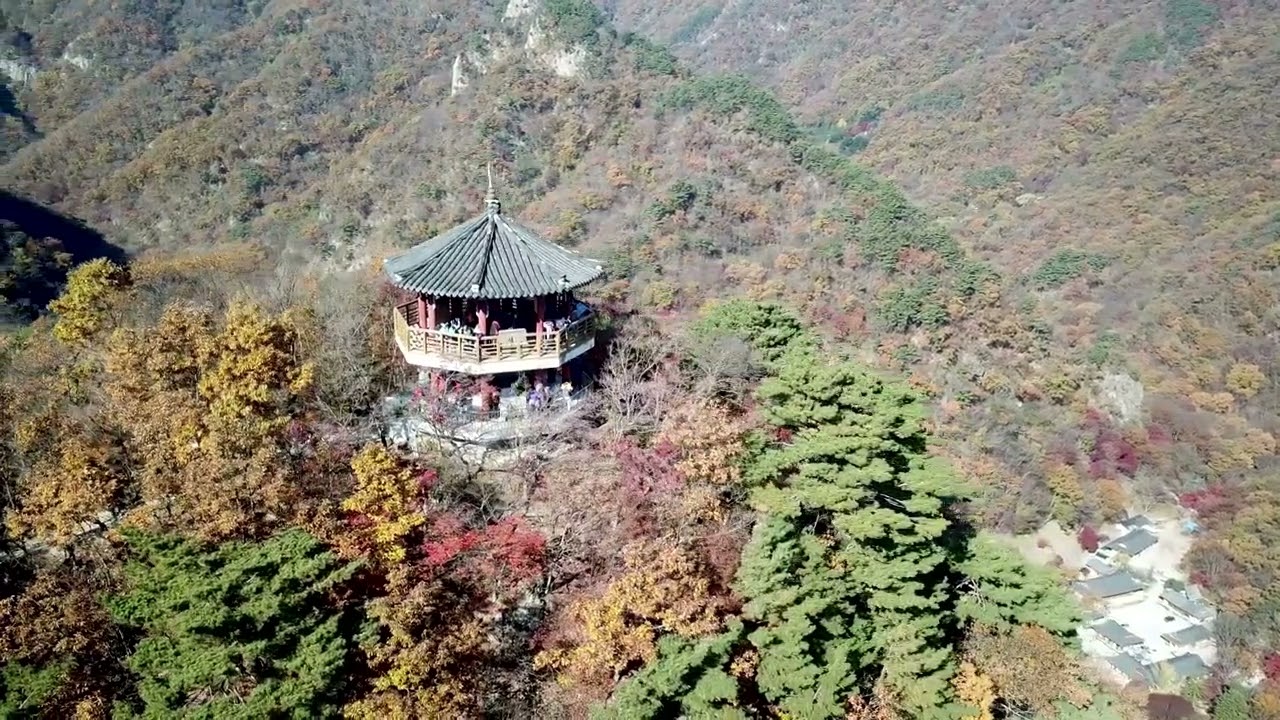 정읍 내장산 단풍의 오색찬란한 색의 향연을 만끽하자
